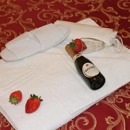 Hotel Hotel Centrale Trieste