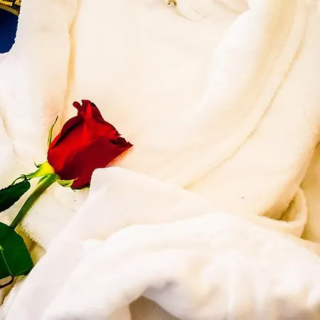 Hotel Centrale Otel Trieste