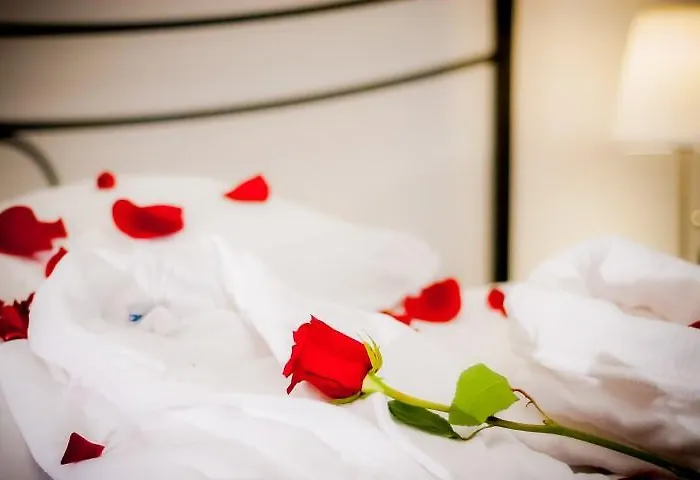 Hotel Hotel Centrale Trieste