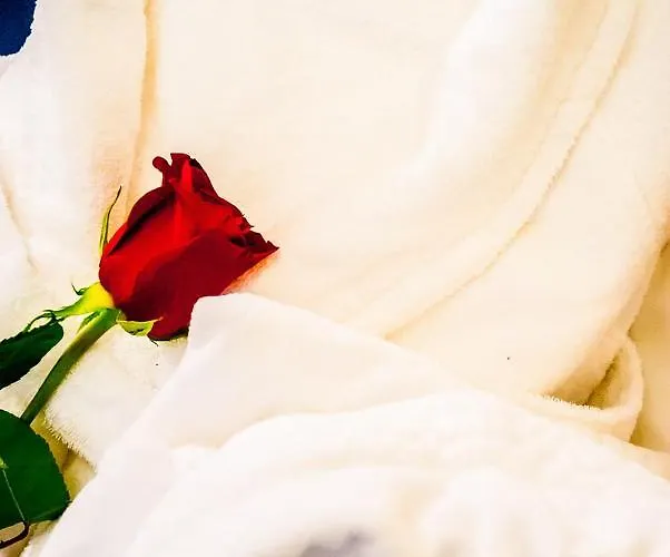 Hotel Centrale מלון טריאסטה